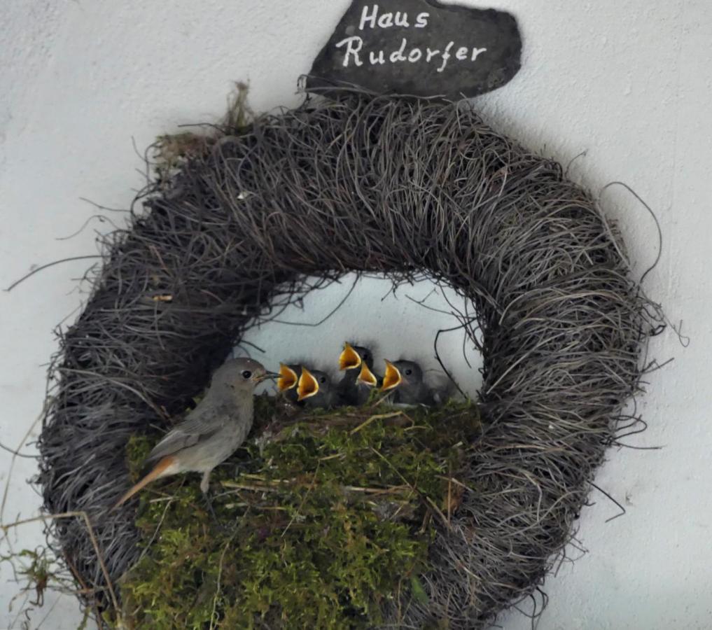 Ferienweingut Rudorfer Hotel Valwig Bagian luar foto