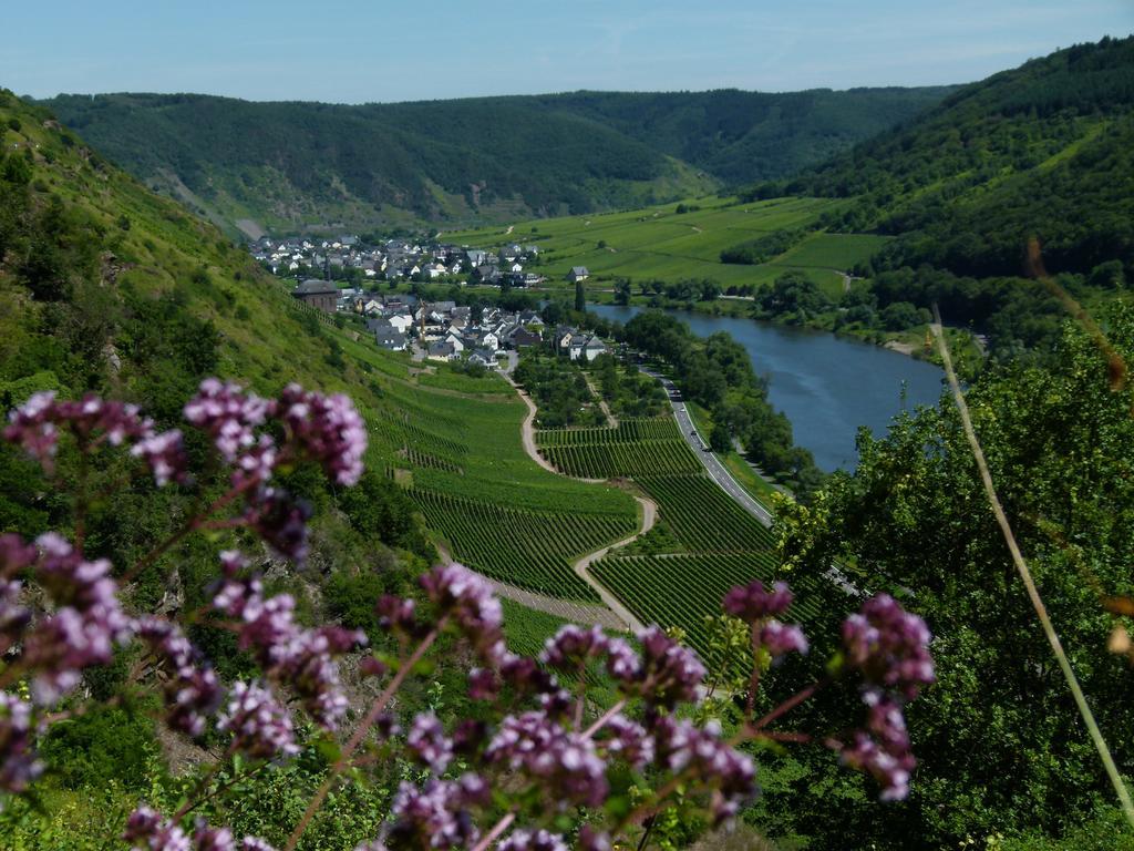Ferienweingut Rudorfer Hotel Valwig Bagian luar foto